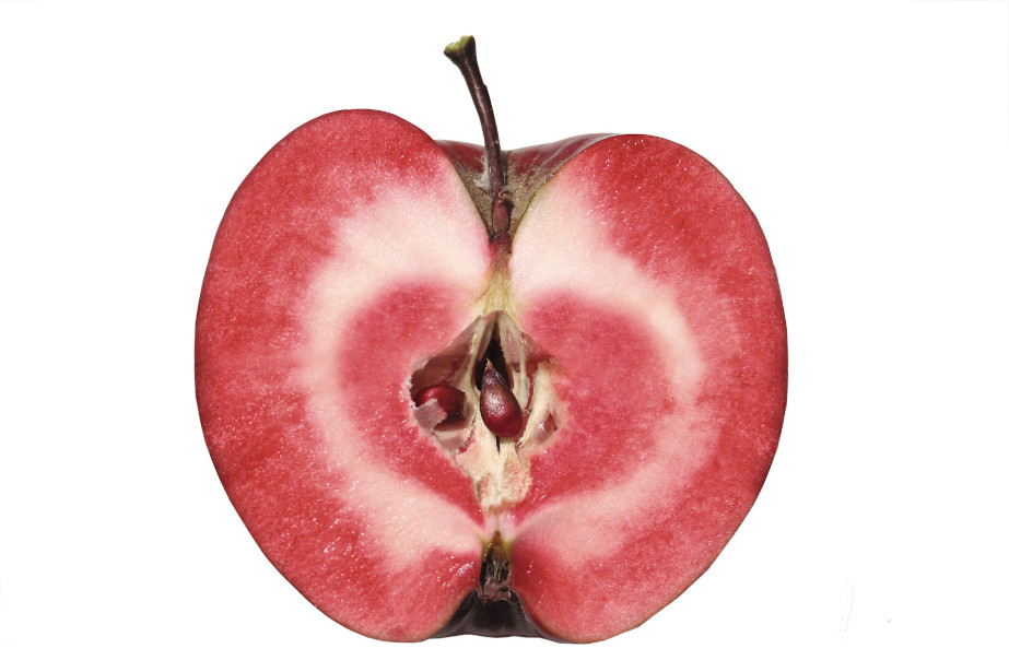Jabłka odmiany czerwonomiąższowej.