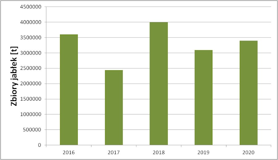 Wykres 2. Zbiory jabłek w latach 2016 - 2020 według GUS.