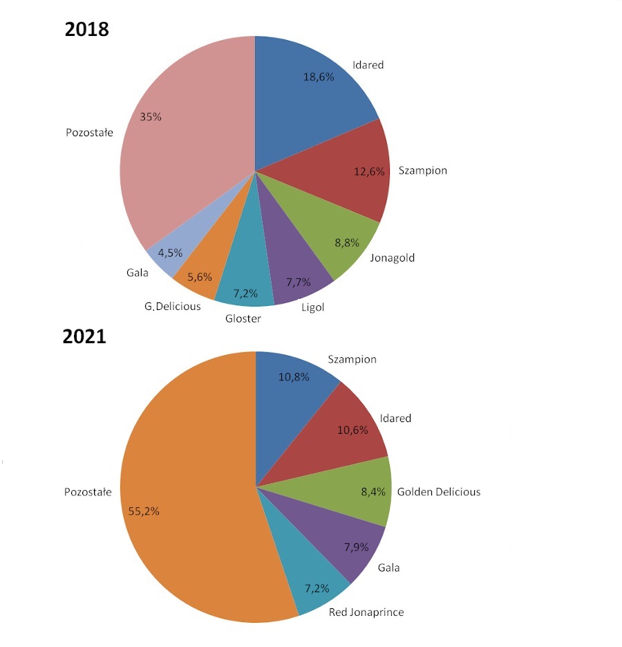 Ryc. 1. Udział poszczególnych odmian jabłek w zbiorze w latach 2018 i 2021 (dane za 2018 wg GUS, dane za 2021 wg WAPA).