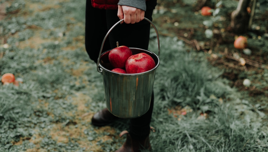 Zbieraki, wiaderka czy fruboxy?