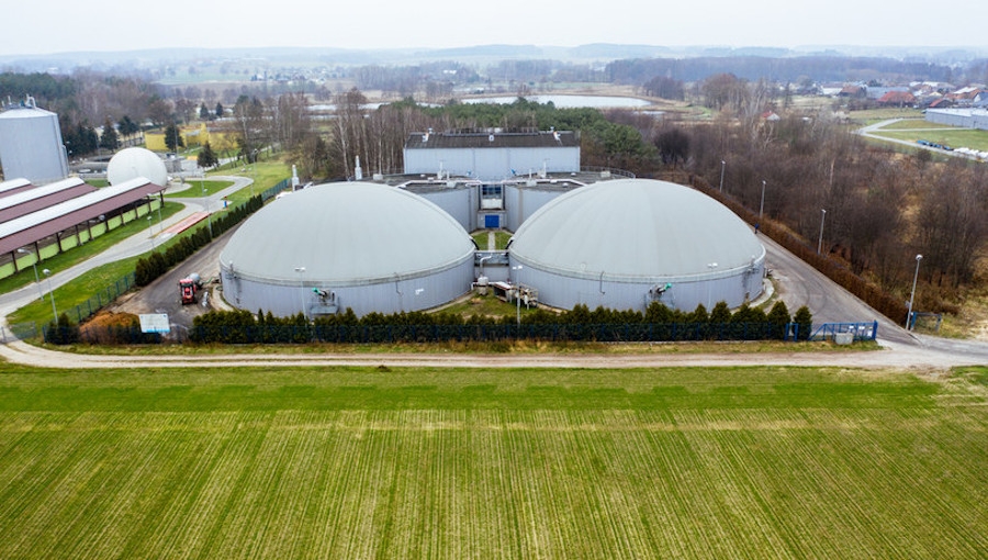 Czy jabłka przemysłowe są dobrym substratem dla biogazowni?