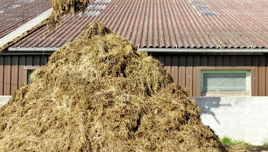 Jesień to dobry czas na obornik w sadzie