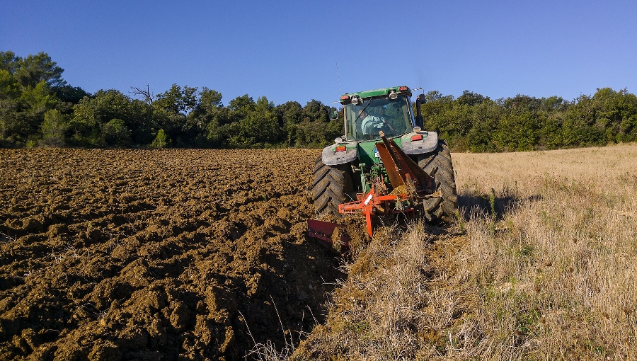 Zakładanie sadu - jedyna okazja na wprowadzenie materii organicznej w głąb gleby