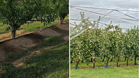 Dlaczego warto podwiesić linię kroplującą?