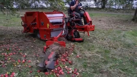 Przegląd rozwiązań do mechanizacji zbioru jabłek przemysłowych
