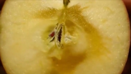 Przedzbiorcze opryski wapniem - walka o trwałość przechowalniczą jabłek