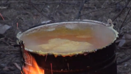 Ciecz kalifornijska a tarcznik niszczyciel