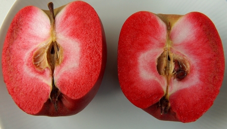 Czerwonomiąższowe odmiany jabłoni - niewykorzystana szansa?