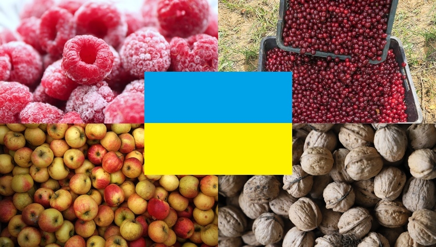 Wojna na Ukrainie a rynek owoców