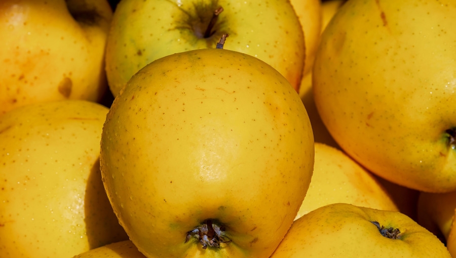 Ceny jabłek deserowych - sortowanie czy sprzedaż za wagę w skrzyni? 10 XI 2020