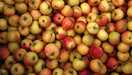 Spadki cen przemysłu pogłębią kryzys na rynku jabłek deserowych