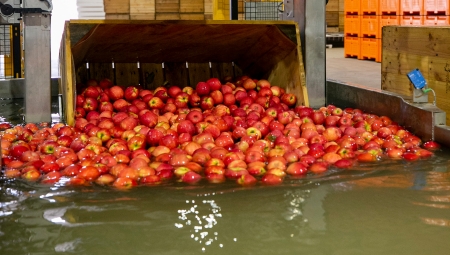 Podsumowanie rynku jabłek deserowych (lipiec - grudzień) w 2021 roku