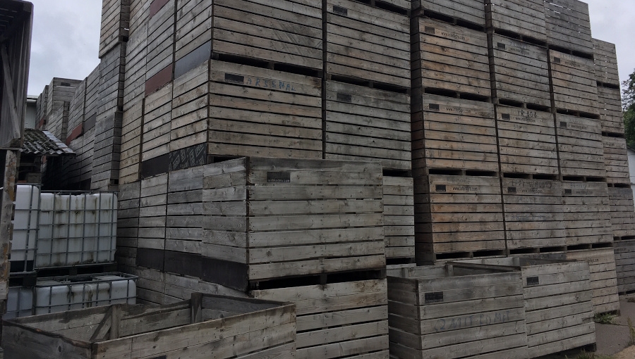 Odbiorcy jabłek niszczą skrzyniopalety