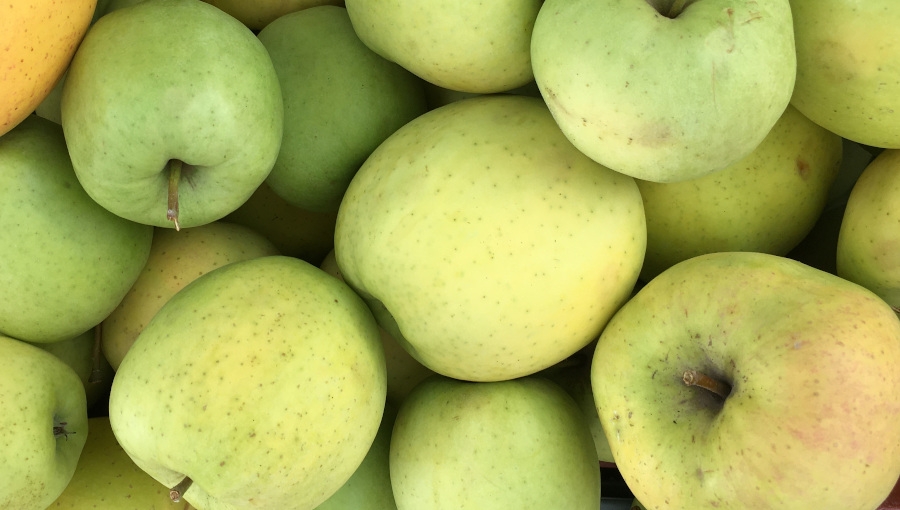 Mołdawia: ceny nowych odmian jabłek eksportowanych na rosyjski rynek nie są atrakcyjne