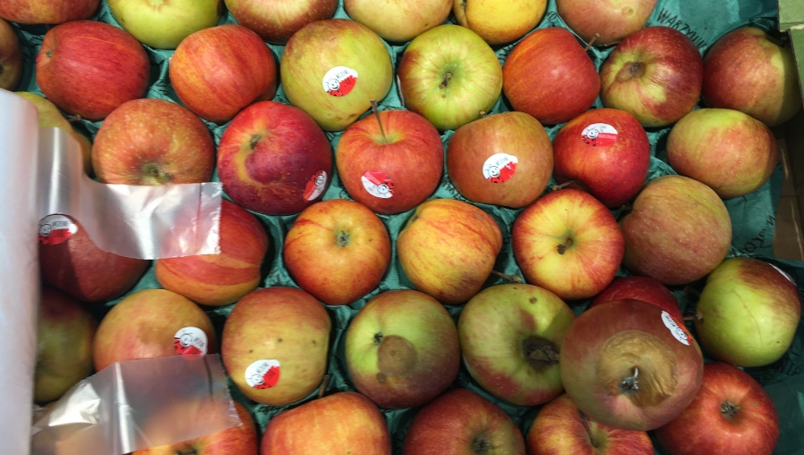 Nie tylko słaba jakość - 6 błędów marketów w sprzedaży jabłek, które obniżają popyt