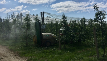 Negacja chemii czy jej optymalizacja? - spojrzenie z punktu producenta owoców i warzyw