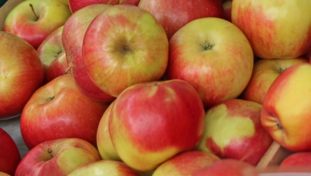 Czy Rosjanie otworzą swój rynek na polskie jabłka w 2021?