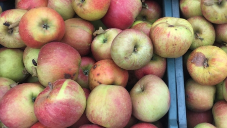 Nie stać nas na handel jabłkami złej jakości!