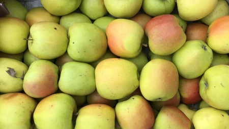 Białoruś: Embargo źródłem problemów w handlu jabłkami