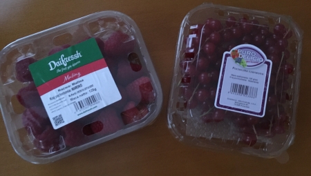 Biznes na importowanych owocach jagodowych?